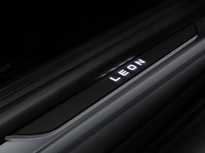 Beleuchtete Einstiegsleiste 5P