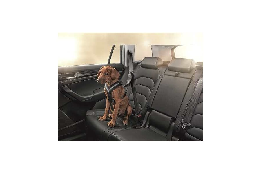 Hundeschutzgurt Größe M - mittelgroße Hunde